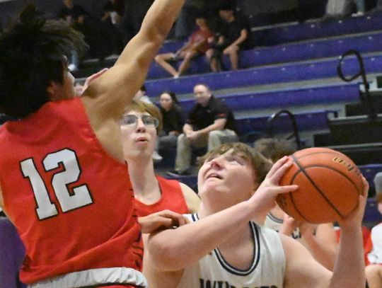 HNS Wildcats take down Bears in OT