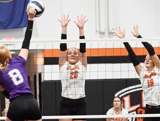 Lady Bear runners punch ticket to State