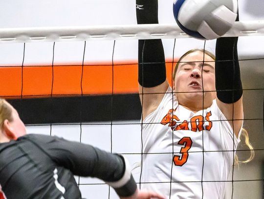 Lady Bears claim another title; remain unbeaten