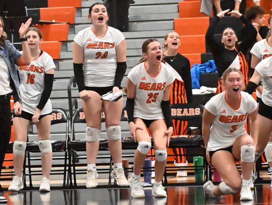 Lady Bears earn trip to State