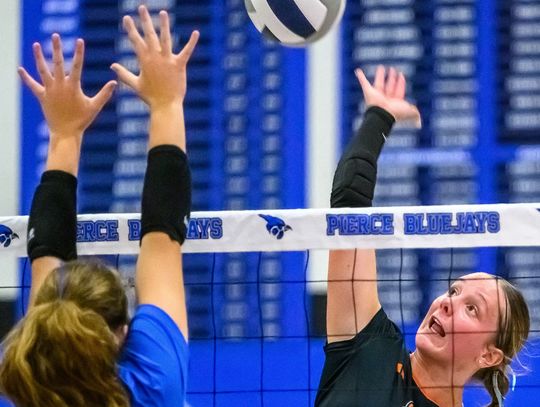 Lady Bears keep rolling along