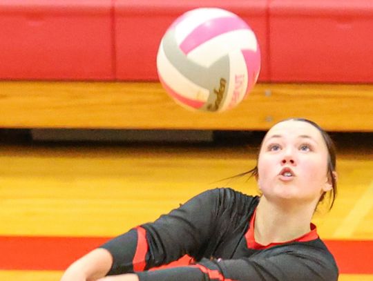 Lady Cardinals fall to undefeated Bloomfield