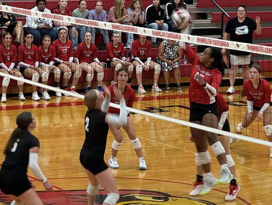 Lady Cards battle against Stuart