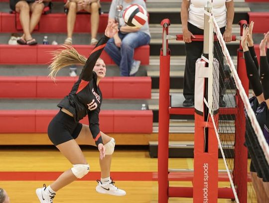 Lady Cards fall to Stuart, HNS