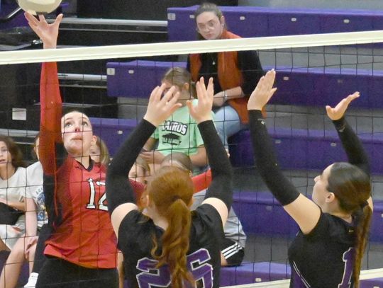 Lady Cards find a win on the court