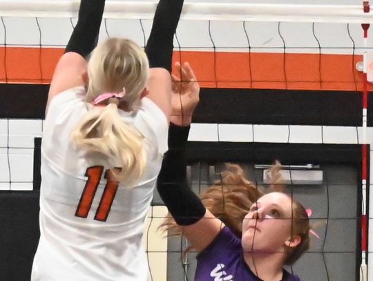 Lady ‘Cats drop a pair in GNAC Tny.