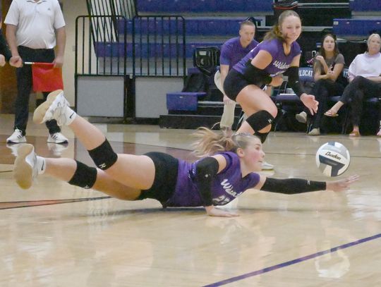 Lady ‘Cats earn a split of conference teams