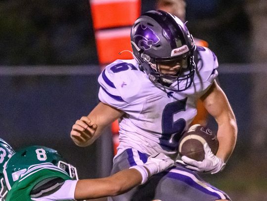 Lady ‘Cats end season in SubDistrict tourney