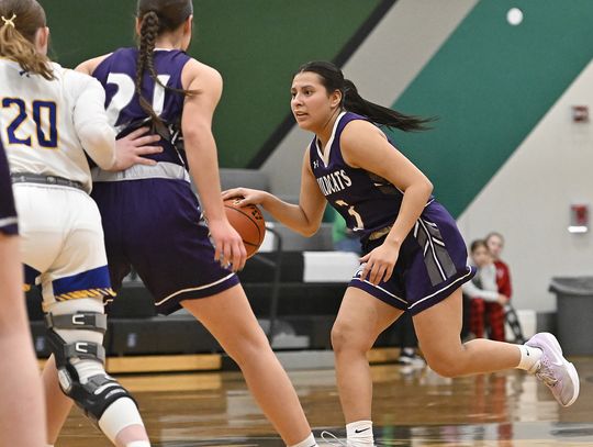 Lady ‘Cats lose close one in GNAC semifinals