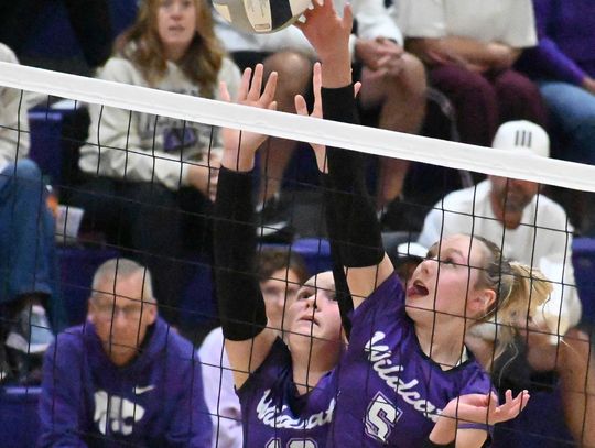Lady ‘Cats reverse sweep Summerland