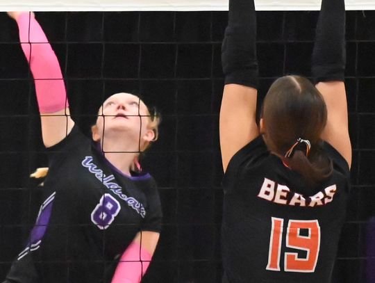 Lady ‘Cats top Wausa to end skid