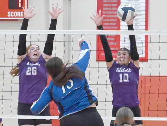 Lady Wildcats advance to SubDistrict final against Cedar Catholic