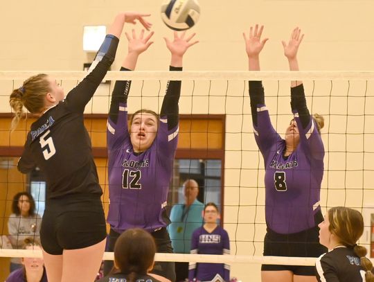 Lady Wildcats fight to the end, but come up short in SubDistricts