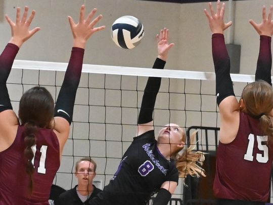 Lady Wildcats open new season with 2-2 week