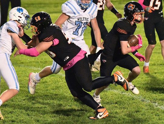 Laurel-Concord-Coleridge Bears scatter Wolfpack