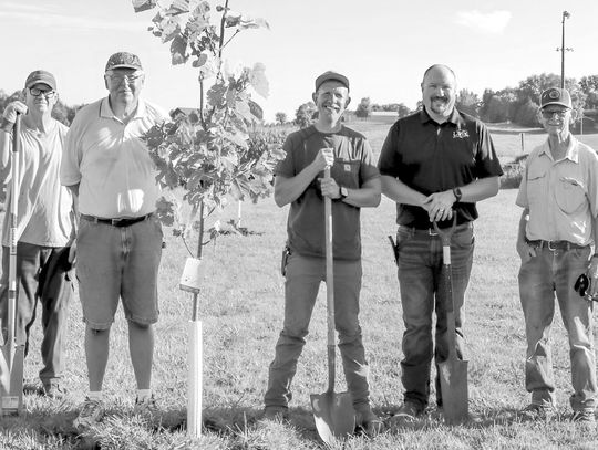 Laurel Tree Board plants trees at softball field