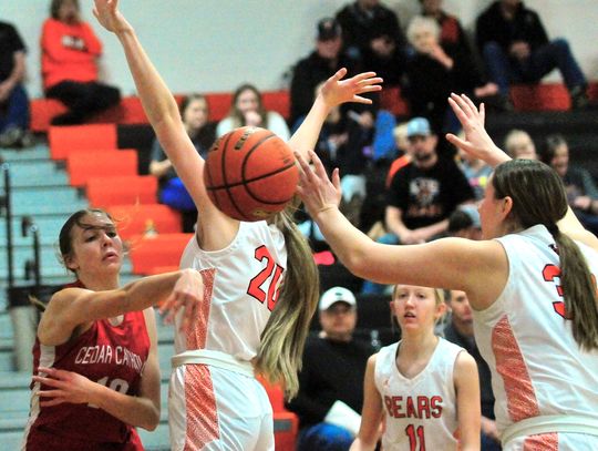 LCC Lady Bears fall to Cedar, top Winnebago