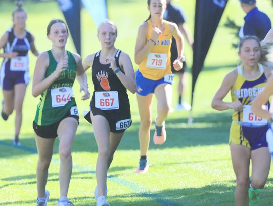 LCC runners compete at State