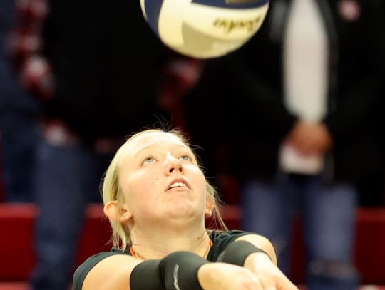 LCC volleyball girls rake in state honors