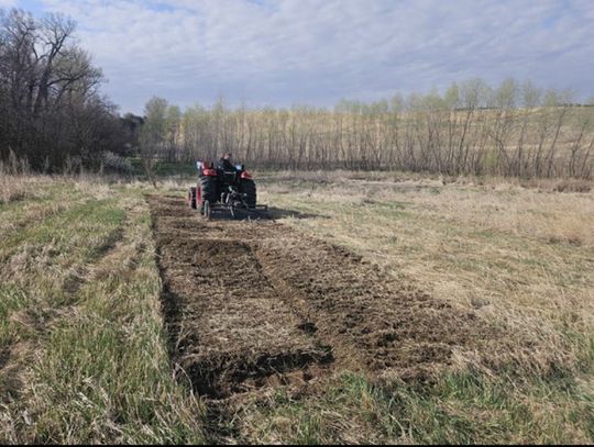 LCNRD announces tree planting and rototilling services