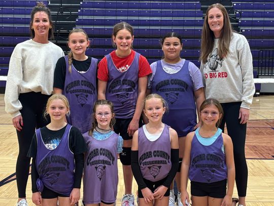 Little League Volleyball