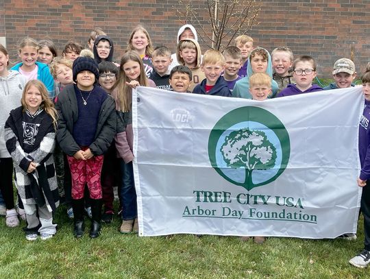 Local fourth graders get lesson on trees