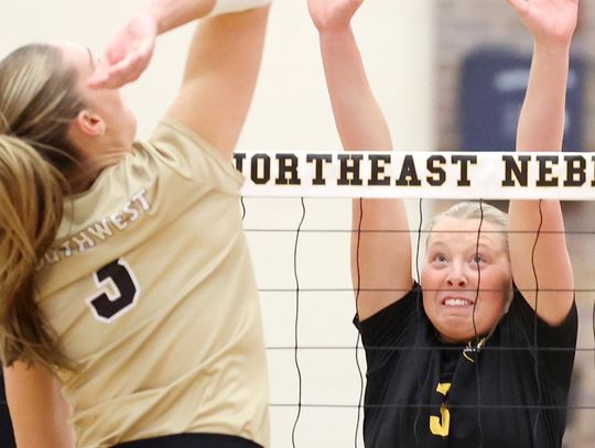 Mountain lion lottery application period is Nov. 3-Dec. 10