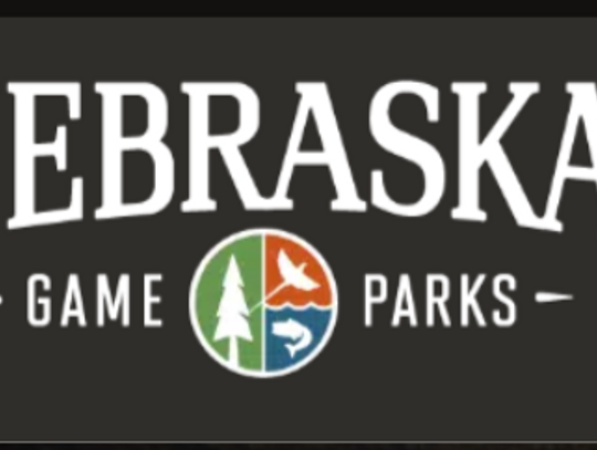 Nebraska Game and Parks investigates fish die-off