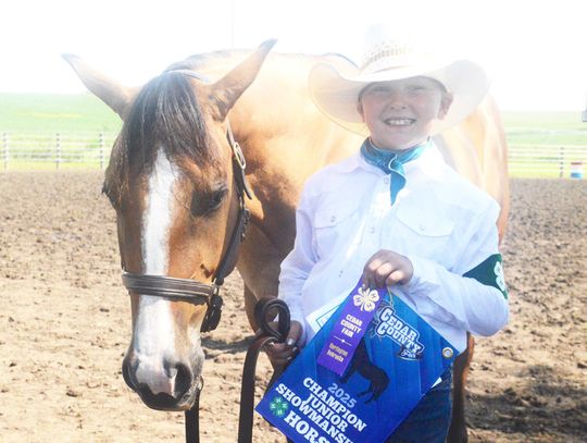 Needles & Nails 4H Club members turn in impressive performances