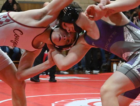 Opfer leads Wildcats at Battle Creek Invitational