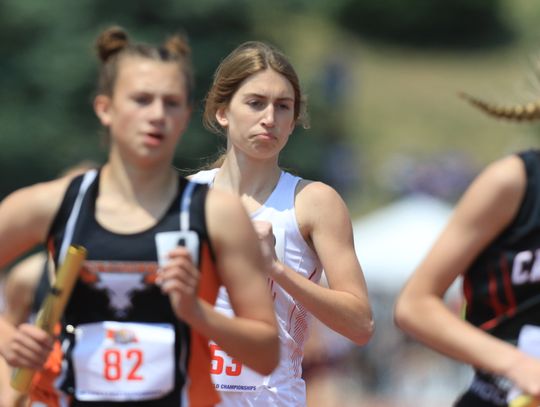 Photo Gallery - Cedar Catholic State Track