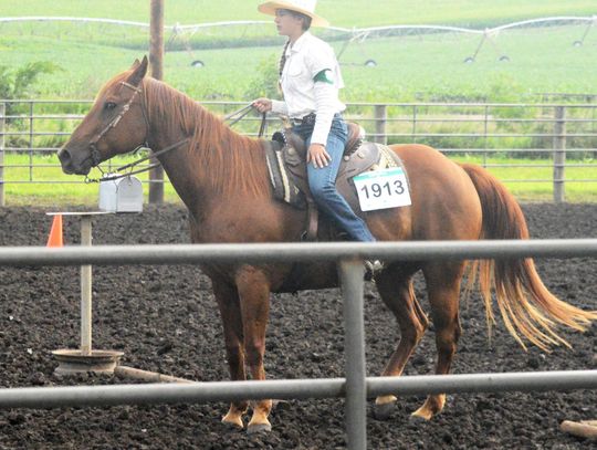 Pleasant Dale 4H Club members haul in awards for static, livestock entries