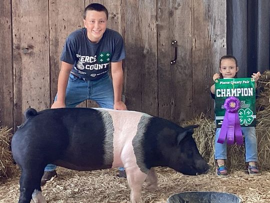 Randolph 4-H youth bring home awards from Pierce County FairPIE