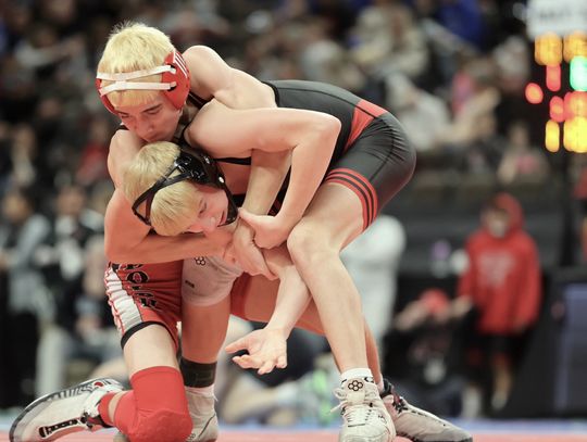 Reimers brings home another State medal