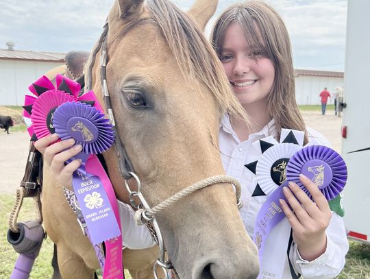 	State 4-H Horse Competition