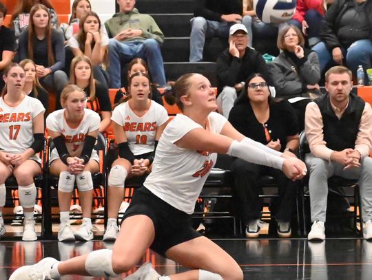 State’s top talent and four champions are back at State Volleyball Tournament