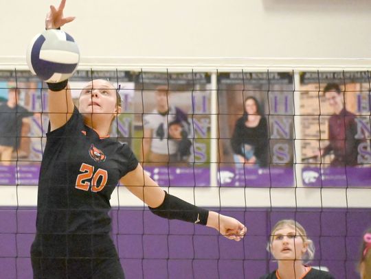 Three more wins puts Lady Bears at 23-3