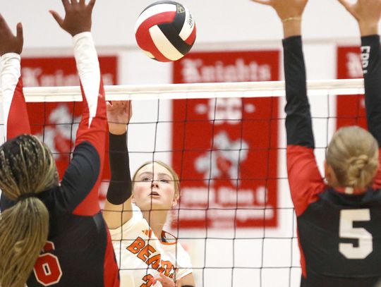 Volleyball action