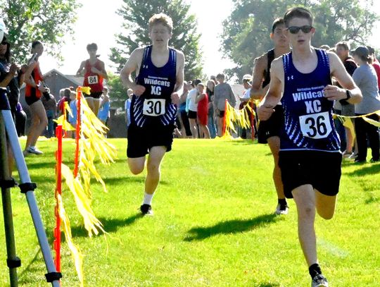 Wildcat offense operates in high gear