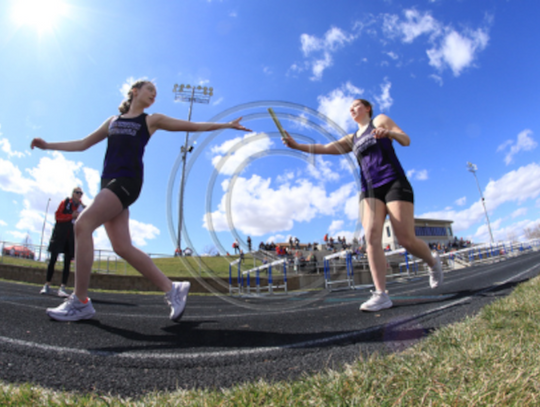 Wildcat Track