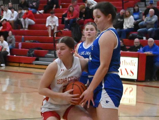 Wildcats down Bears, drop contest with Warriors