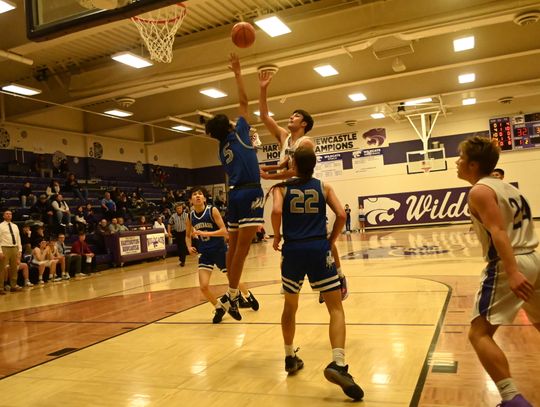 Wildcats surprise Winnebago for OT win