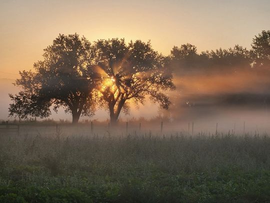 Winners of the 2025 Amateur Photography Contest Announced