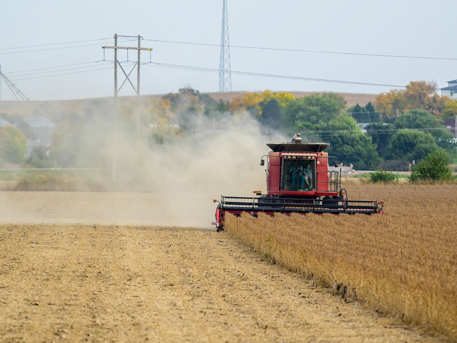 Crops out of the fields