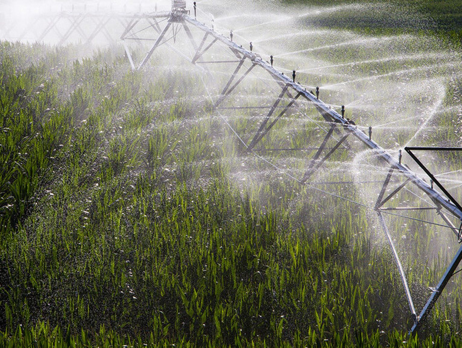 Dry conditions, shifting economics shape Nebraska planting season outlook