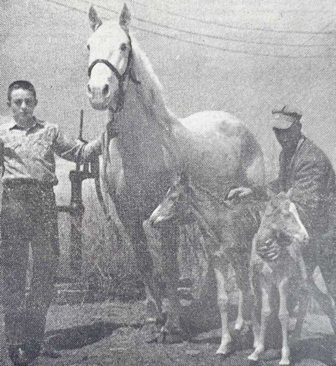 1949: Local garbage service begins