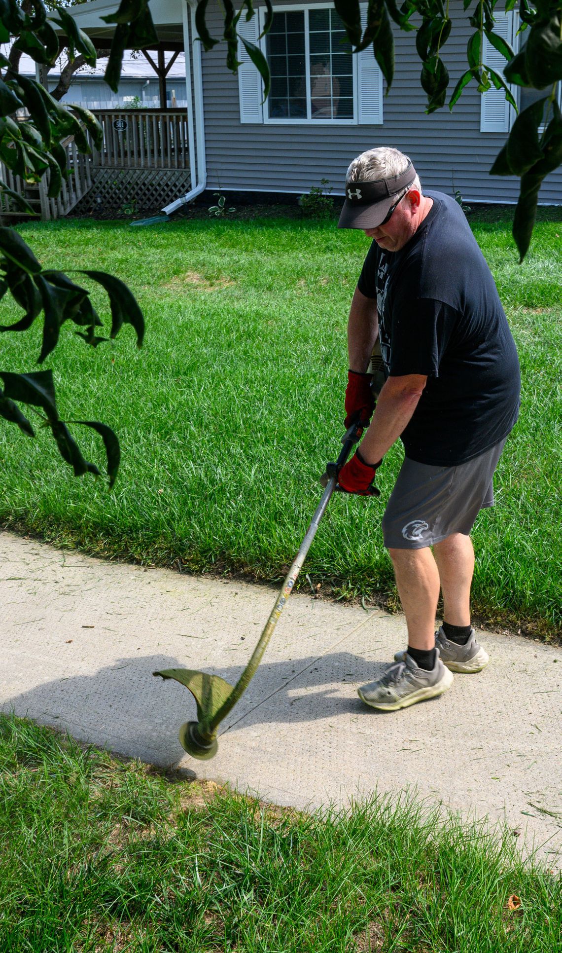 A cut above