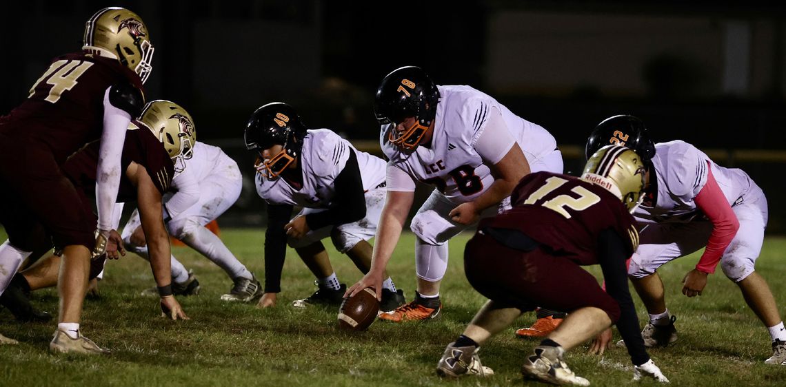 Bears maul Cougars, set up showdown with Jaguars Bears maul Cougars, set up showdown with Jaguars