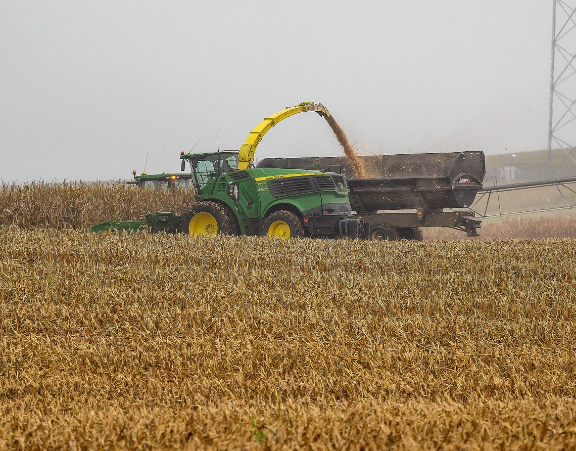 Bringing in the harvest Bringing in the harvest