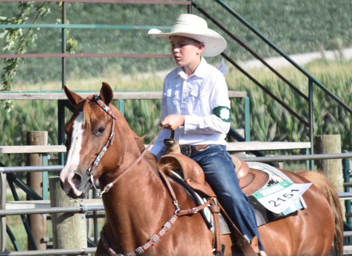 Cedar County Fair Horse Show